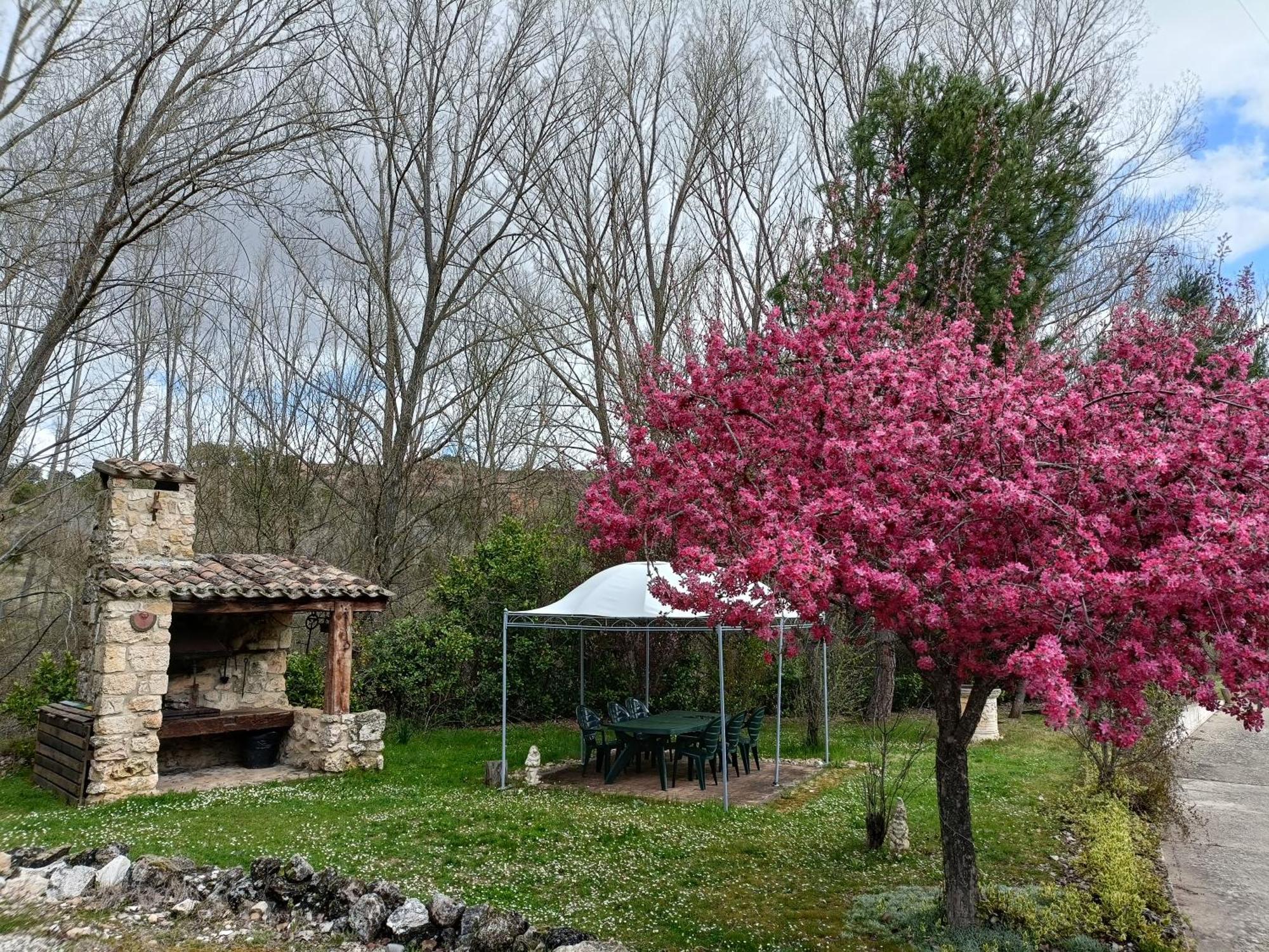 Finca Paraíso Rural El Burgo De Osma Exterior foto