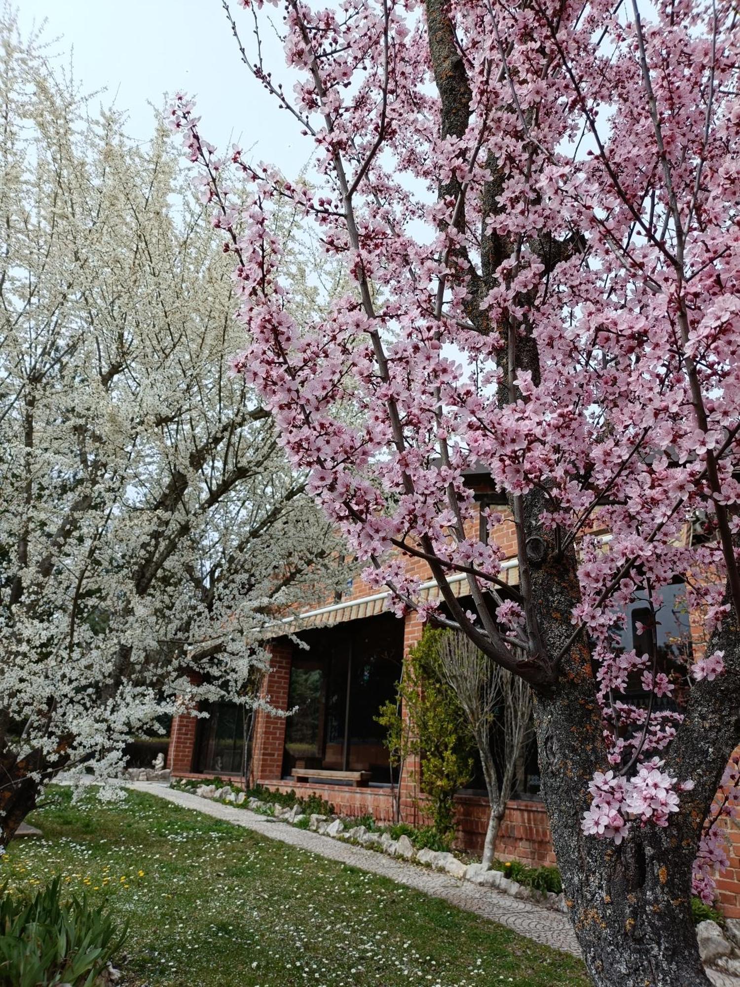 Finca Paraíso Rural El Burgo De Osma Habitación foto